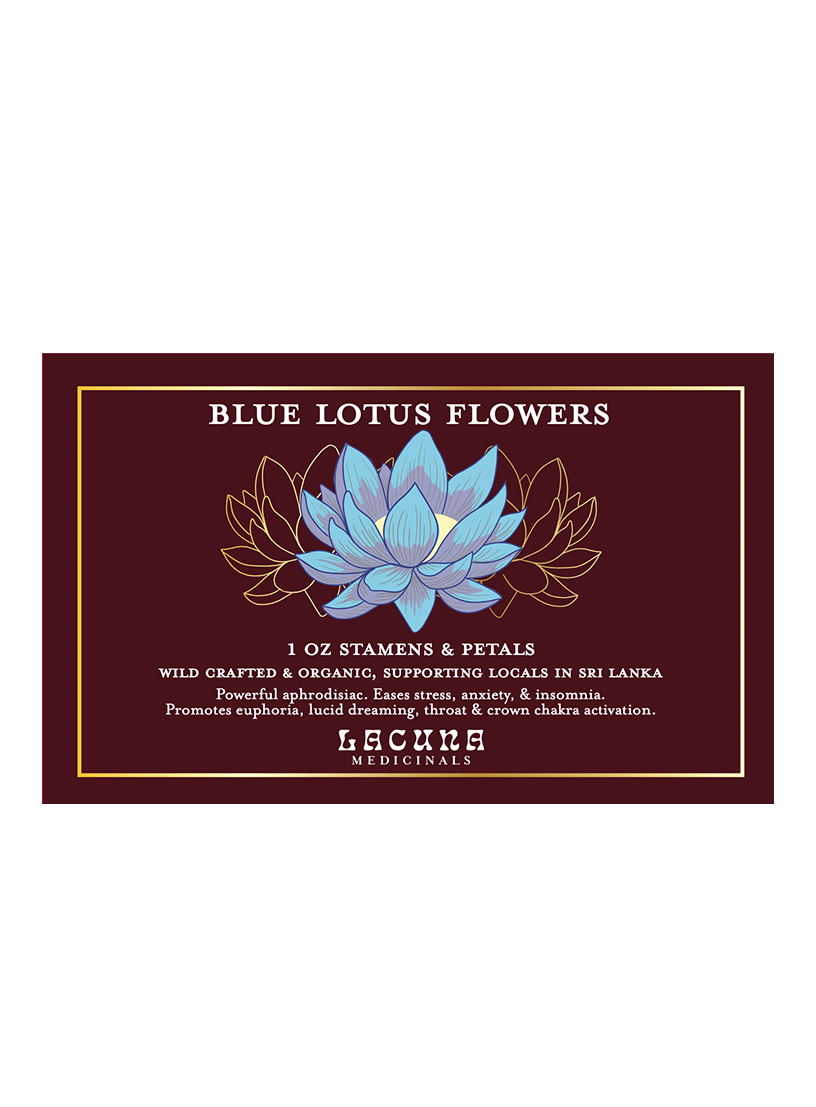 Blue Lotus Flowers
