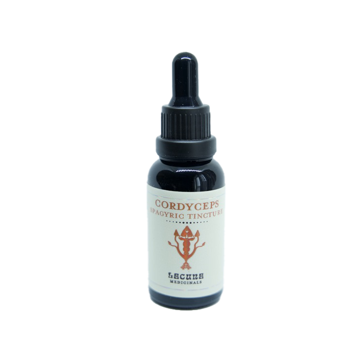 Cordyceps spagyric tincture