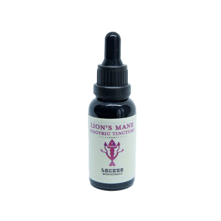 Lion's Mane Spagyric Tincture