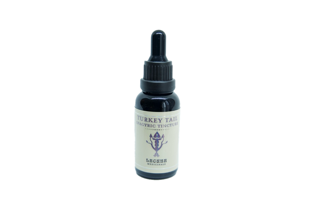 Turkey Tail Spagyric Tincture