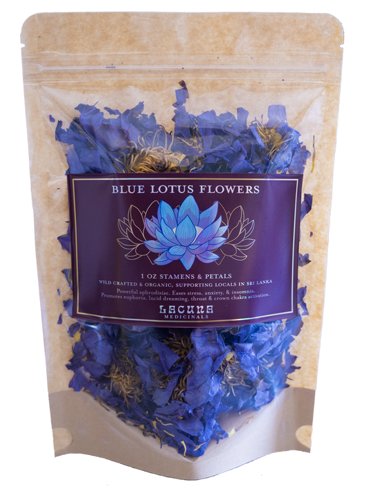 Blue Lotus Flowers