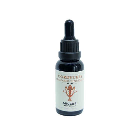 Cordyceps spagyric tincture